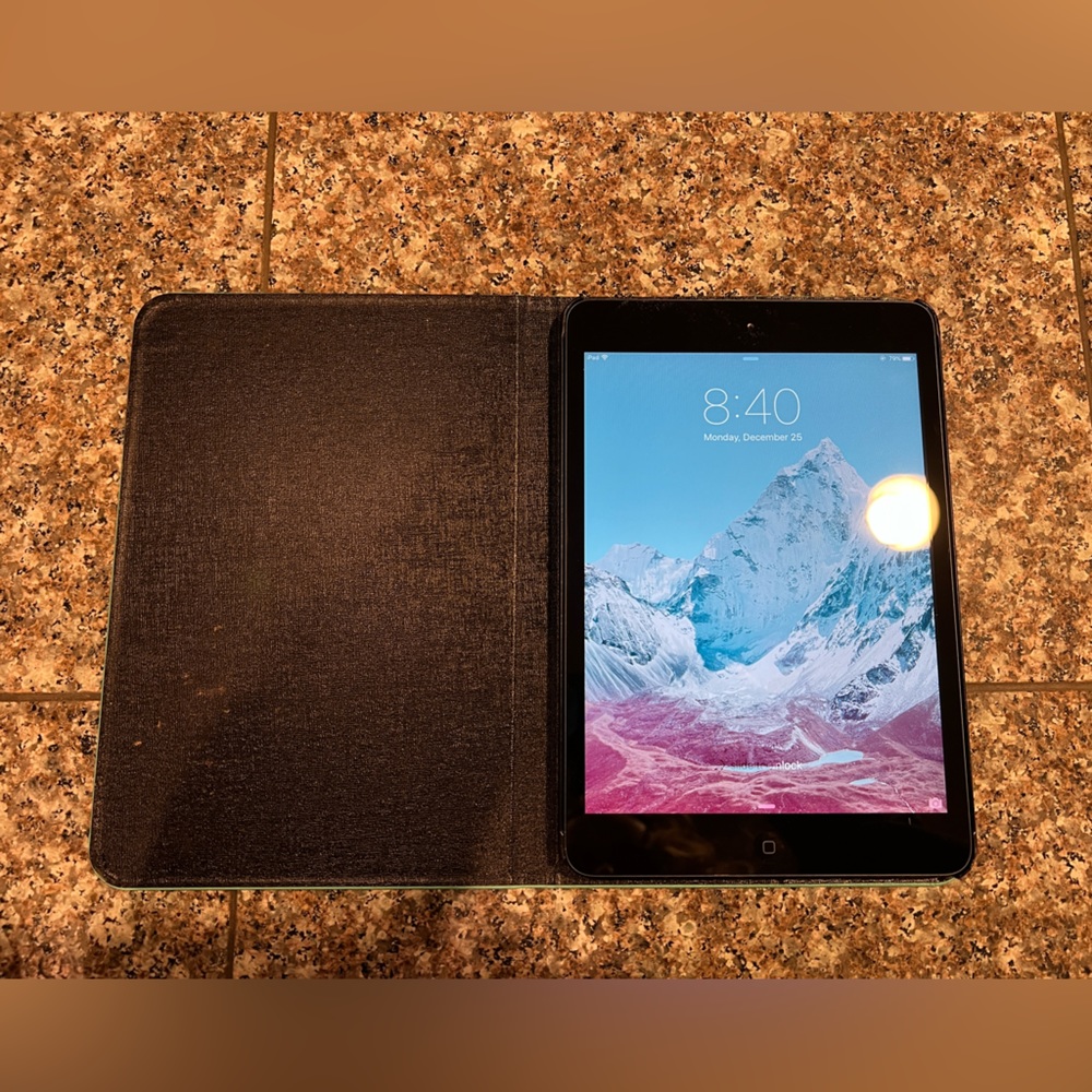 iPad Mini (WiFi)